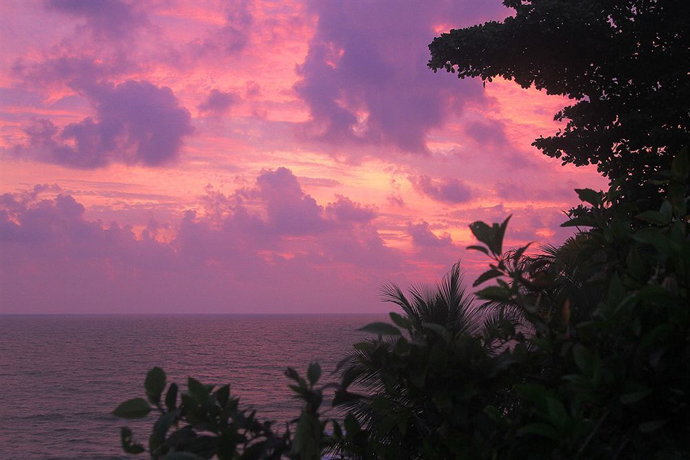 Magnolia Guesthouse Varkala Dış mekan fotoğraf