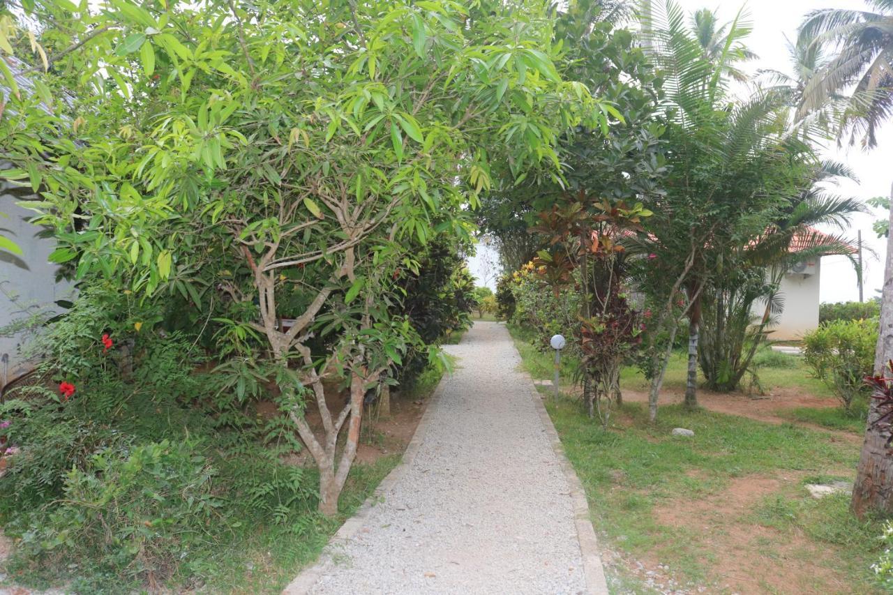 Magnolia Guesthouse Varkala Dış mekan fotoğraf