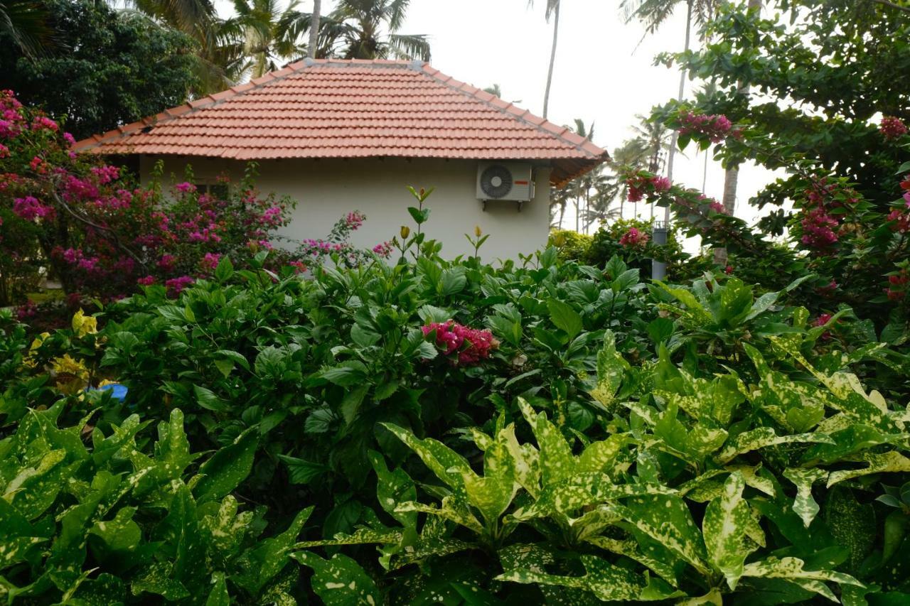 Magnolia Guesthouse Varkala Dış mekan fotoğraf